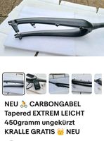 Neue Carbongabel Sachsen - Taucha Vorschau