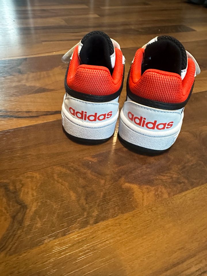 Adidas Schuhe in Bad Sobernheim