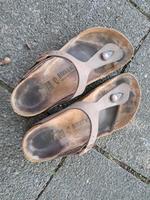 Birkenstock Zehentrenner braun Baden-Württemberg - Heidelberg Vorschau