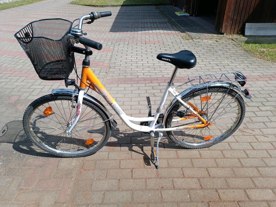 26" Damenfahrrad 3 Gang Nabenschaltung mit Rùcktritt in Templin