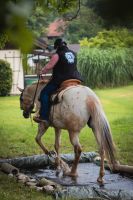 Reitunterricht Klassisch.Altkalifornisch.Horsemanship Bayern - Bad Endorf Vorschau