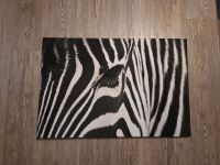 Zebra Bild auf Leinwand Nordrhein-Westfalen - Kevelaer Vorschau