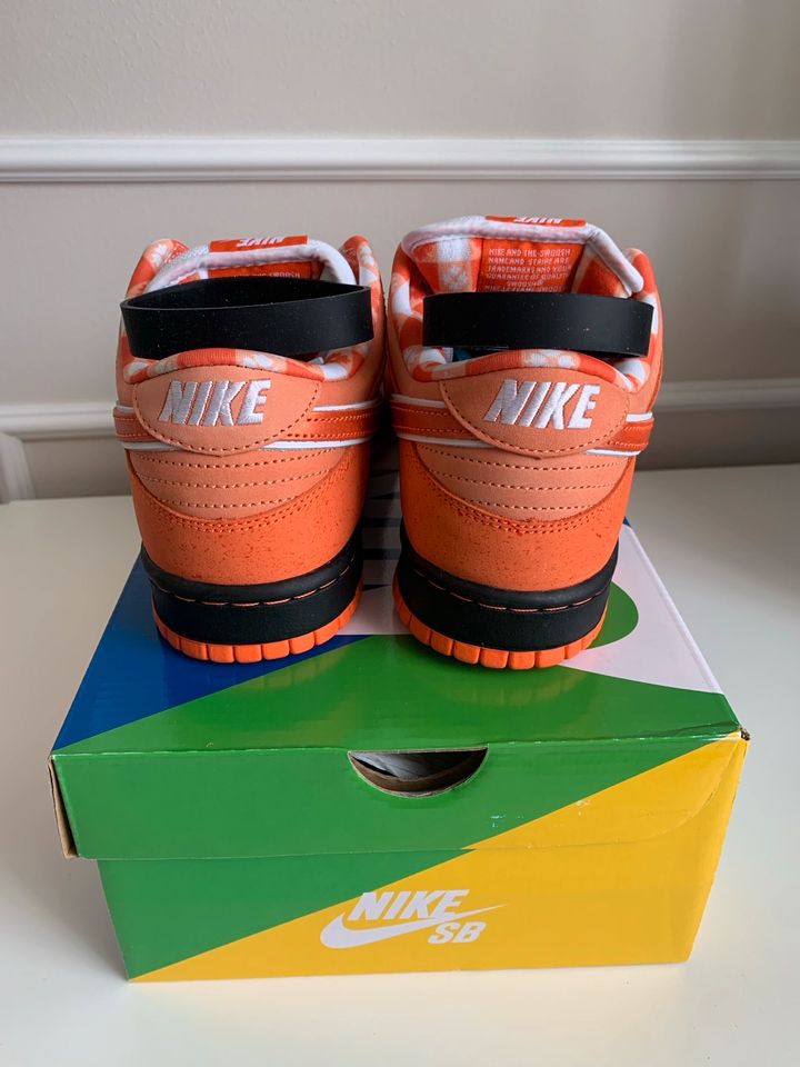 Nike SB Dunk Orange Lobster Concepts US8 41 NEU in Dresden