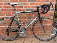 Orbea Aspin Rennrad mit Carbon-Gabel XL Niedersachsen - Niedernwöhren Vorschau