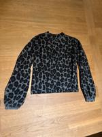 Leo Pullover Baby Alpaca Super Qualitativ Grace CH XS-S Pankow - Prenzlauer Berg Vorschau