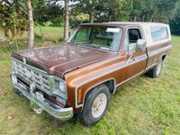 Chevrolet C10 C2O 7,4L V8 454SS 474cui Bigblock Pickup Truck Brandenburg - Großbeeren Vorschau