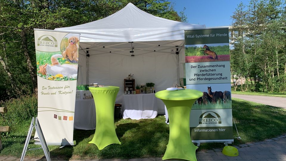 Nebenjob - Komm in mein Team♥️Werde Reico VertriebspartnerIn in Kaiserslautern