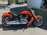 Harley Davidson V-Rod Muscle. Bayern - Hof (Saale) Vorschau