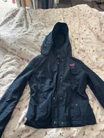 Hollister Jacke Aachen - Aachen-Brand Vorschau