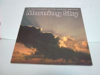 Vinyl Schallplatte 12" LP - Morning Sky - featering John Williams Baden-Württemberg - Fellbach Vorschau