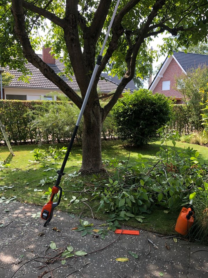 Baumfällung Sturmschaden Baumpflege Wurzelfräsen Hackschnitzel in Saerbeck