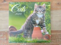 Cats Katzen Bilder Kalender 2020 Korsch Verlag Baden-Württemberg - Leingarten Vorschau