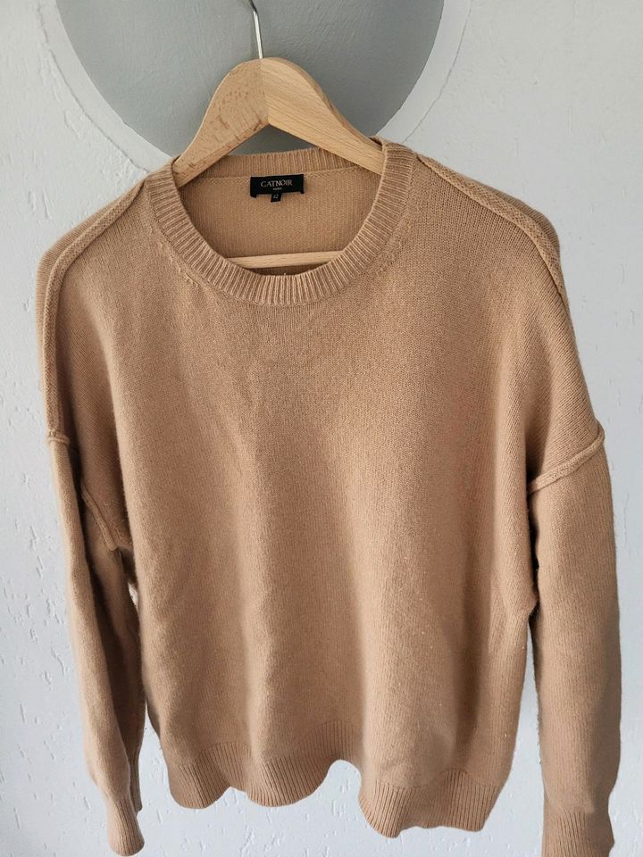 Catnoir Pullover 42 beige neuwertig in Bochum