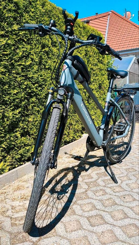 E - Bike / Trekkingrad Damen 28er & Herren in Leezen MV