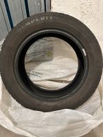 Semperit Winterräder 205/55R16 91H guter Zustand München - Schwabing-Freimann Vorschau