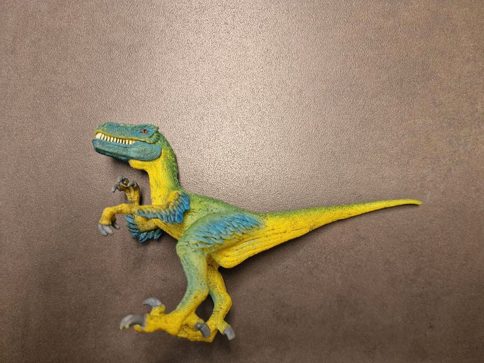 Velociraptor Schleich Dinosaurier neuwertig in Aach