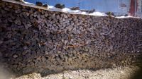 Brennholz zu verkaufen Ofenfertig frisch oder getrocknet Bayern - Wiggensbach Vorschau