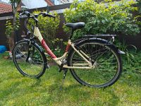 Velo de ville vdv c 20 edition Fahrrad Tiefeinsteiger Baden-Württemberg - Waiblingen Vorschau