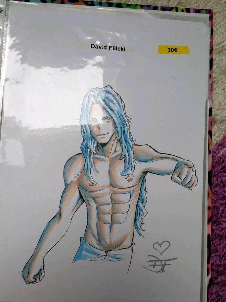 Zeichnungen Shikishi Original Manga Mangaka D Reyhan Zarbo Autog in Duisburg