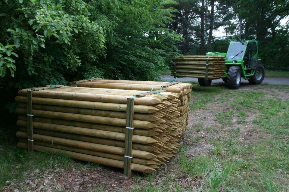 Zaunpfähle - Baumpfähle - Holzpfähle - 10 x 250 cm - imprägniert in Wagenfeld