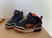 Sneaker Geox Gr. 26 Turnschuhe Blinkies Hessen - Witzenhausen Vorschau