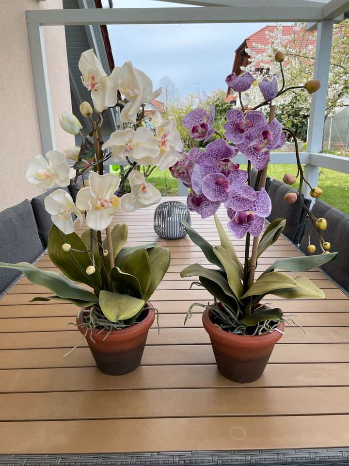 Kunstblumen Orchideen in Kefenrod