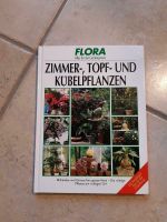 Flora Zimmer-,Topf- und Kübelpflanzen Niedersachsen - Bohmte Vorschau