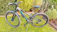 Bulls Mountainbike, 27,5“, Alu, Scheibenbremsen Hessen - Obertshausen Vorschau