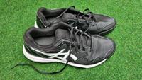 Laufschuhe Turnschuhe Asics Größe 47 Nordrhein-Westfalen - Löhne Vorschau
