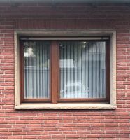 2 Holzfenster mit Rollladen/Motor Nordrhein-Westfalen - Schwerte Vorschau