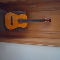 Gitarre, vintage prince Model C 425 mit Tasche Sachsen - Grimma Vorschau