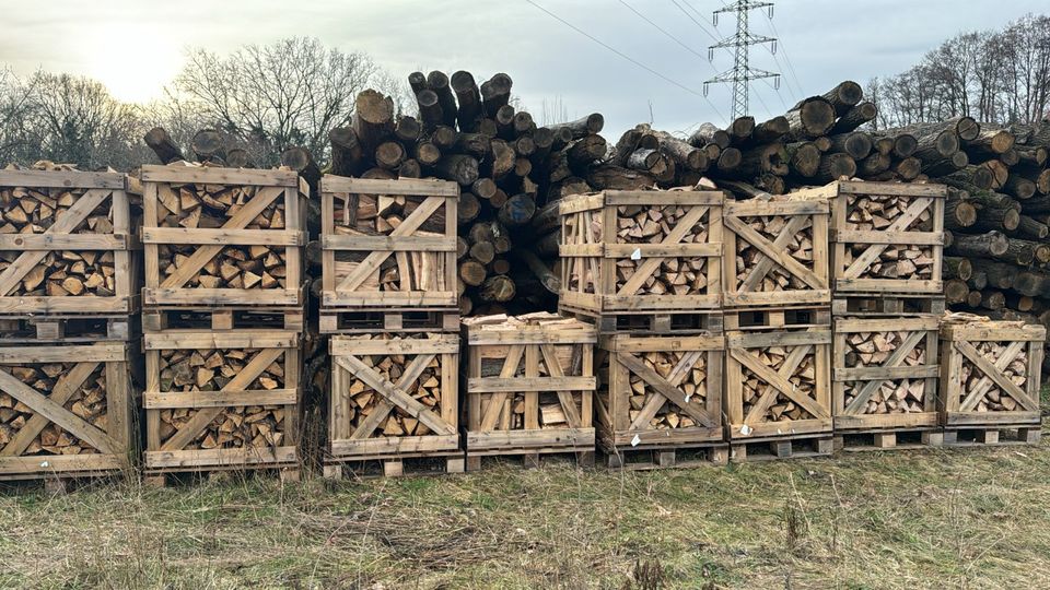 Brennholz Buche Eiche Laubholz Kaminholz in Kremmen