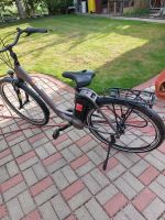 E-Bike Phrophete Geniesser EMC 500 Thüringen - Erfurt Vorschau