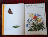 Die Natur erlebt u. beobachtet mit Vorschulkindern auf 298 Seiten Thüringen - Jena Vorschau