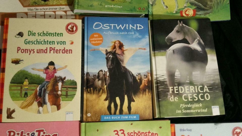 8 Stück für 10,- Pferdebücher Ostern Kinderbücher Jugendbücher in Meißen