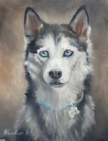 Ölbild, Bild 26x38cm Hund „Husky Luna“ Bayern - Rotthalmünster Vorschau
