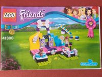 Lego Friends - Welpen Meisterschaft Brandenburg - Eisenhüttenstadt Vorschau