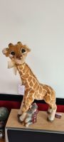 Charlie Bears Giraffe Mimosa und Affe Afrika - limitiert auf 1000 Niedersachsen - Ronnenberg Vorschau
