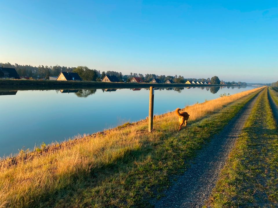 Grundstück für Mobilheim/ Tinyhouse / Modulhaus Sofort bebaubar in Sassenburg