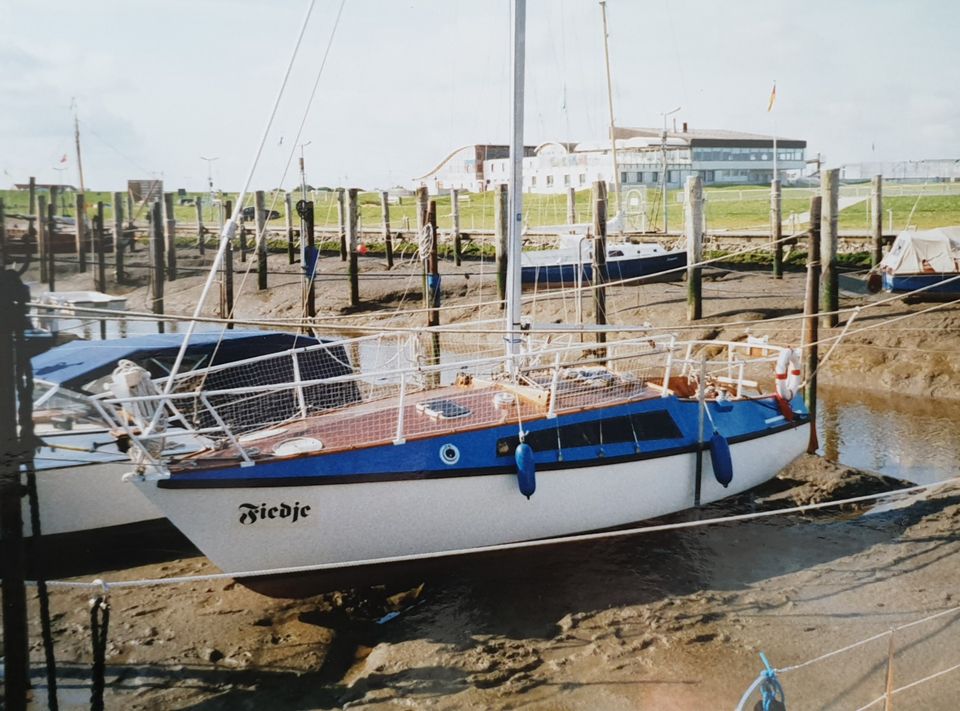 Segelboot Mahagoni Omega TS in Nordholz