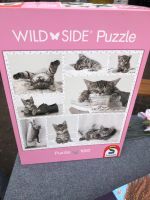 Puzzle 1000 Stück Katzen Lindenthal - Köln Weiden Vorschau