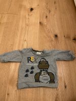 Name it Pullover 56 Dino grau Baby Baden-Württemberg - Kirchheim unter Teck Vorschau