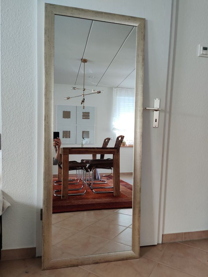 Großer Lehnspiegel/ Spiegel zum Aufhängen/ Ganzkörperspiegel in Ludwigshafen