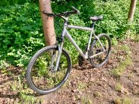 26 Zoll TREK Mountainbike Antrieb und mehr NEU! Scheibenbremsen Berlin - Steglitz Vorschau