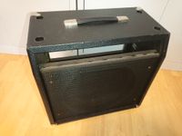 Vintage Mesa Boogie Mark Combogehäuse, guter Zustand Nordrhein-Westfalen - Stolberg (Rhld) Vorschau