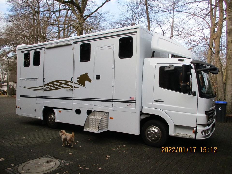 Mercedes-Benz Pferdetransporter in Gütersloh