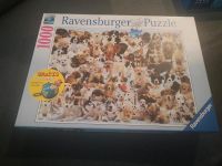 Ravensburger Puzzle Hunde 1000 Teile Bayern - Speichersdorf Vorschau