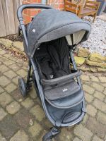 Joie grau Kinderwagen Nordrhein-Westfalen - Ibbenbüren Vorschau