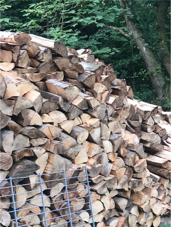 Brennholz TROCKEN Buche Eiche Laubholz geschnitten/gespalten in Hillscheid