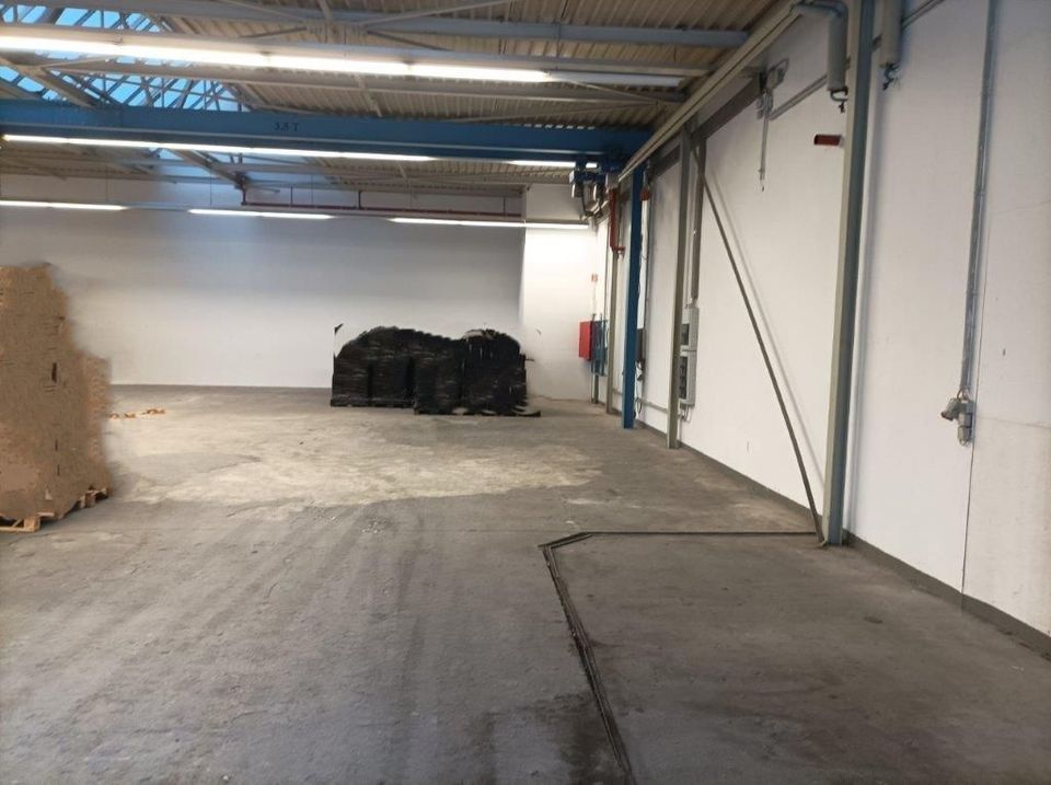Meschede, Lagerhalle 500 bis 2.680 m² / € 1,90 je m² in Werl
